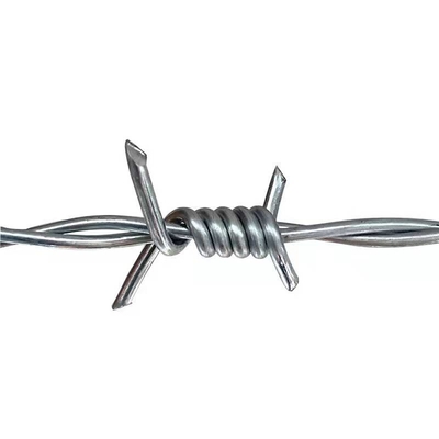 TLWY-Eisen galvanisierte den Rasiermesser-Stacheldraht, der ISO9001 einzäunt