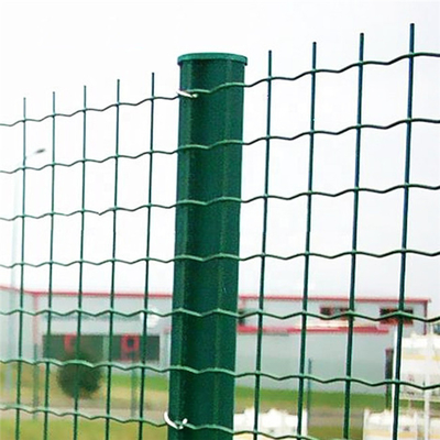 heißer Verkaufsprodukt billigerer Zaun Holland Welded Wire Mesh Fences /Euro