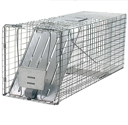 2mm Dia Live Cage Traps Galvanized Or PVC beschichtete