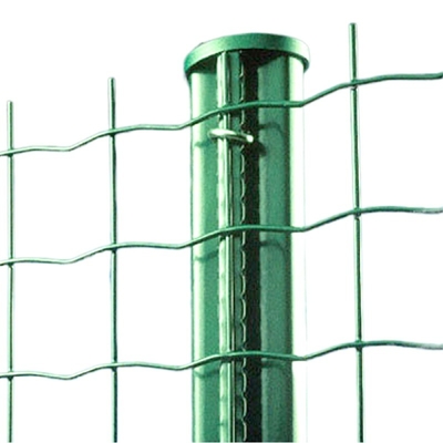 PVC ISO9001 beschichtete Euro-Art Holland Wire Mesh Fence Netting-Höhen-60cm-200cm