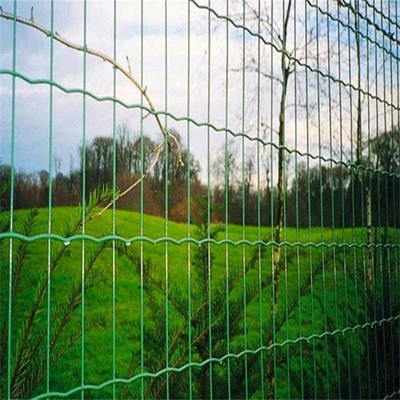 TLWY PVC beschichtete geschweißten Mesh Fencing 9.0mm Holland Fence